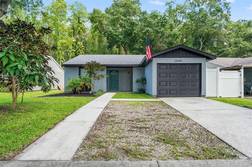 12419 HIDDEN BROOK DRIVE TAMPA, FL 33624