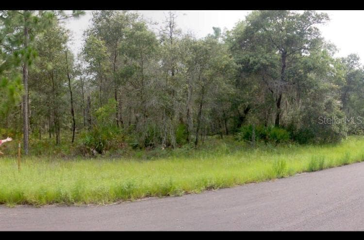 2156 W DEERFIELD LANE DUNNELLON, FL 34434