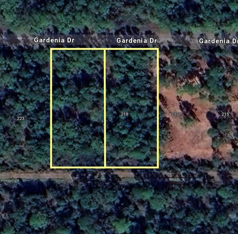221 & 219 GARDENIA DRIVE INDIAN LAKE ESTATES, FL 33855