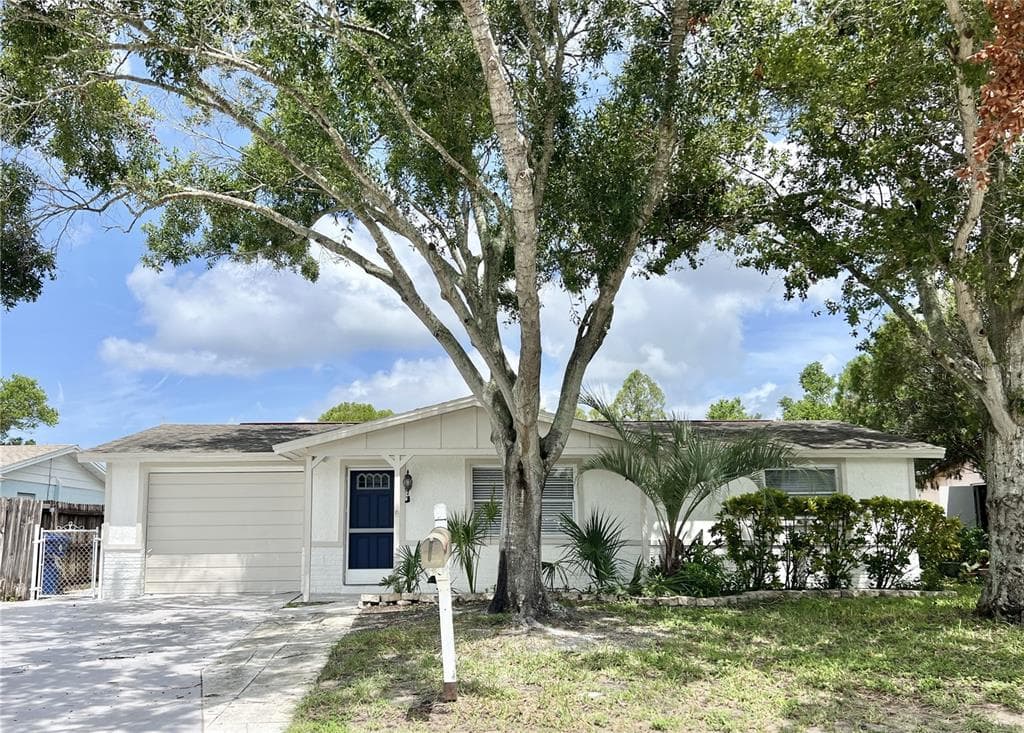 3245 BIGELOW DR DRIVE HOLIDAY, FL 34691