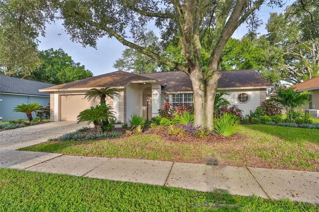 28211 TANGLEWOOD DRIVE WESLEY CHAPEL, FL 33543