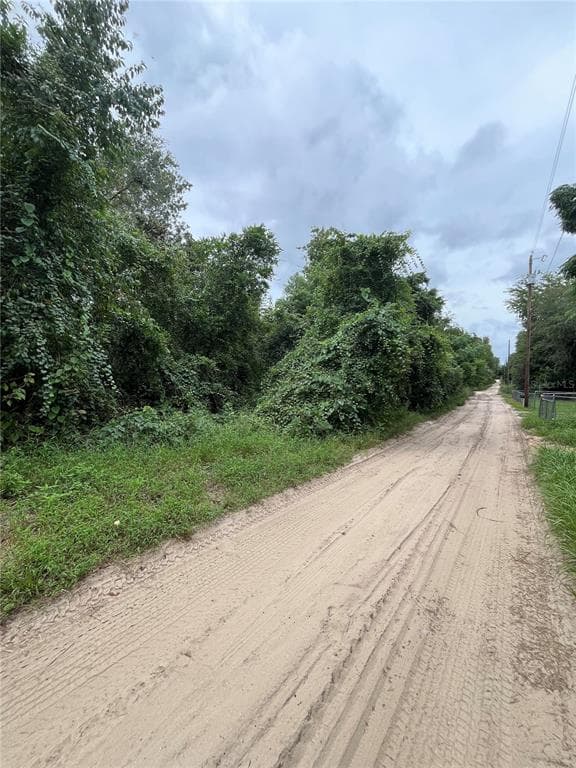 NE 38TH PLACE SILVER SPRINGS, FL 34488