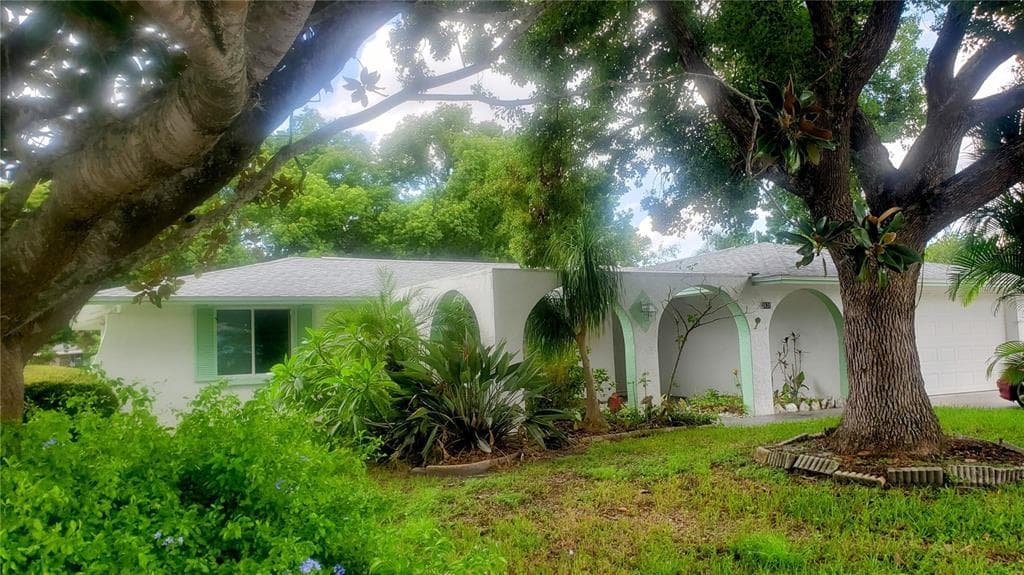 3835 CHAFFEY DRIVE NEW PORT RICHEY, FL 34652