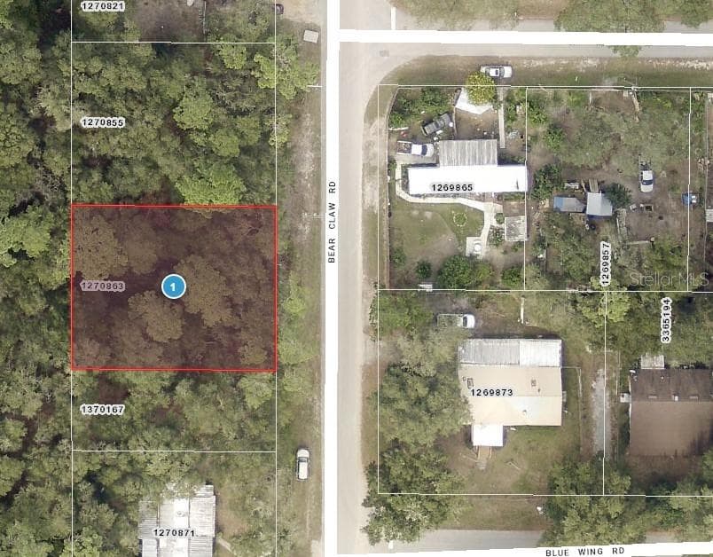 Lots 11 & 12 BEAR CLAW ROAD ALTOONA, FL 32702