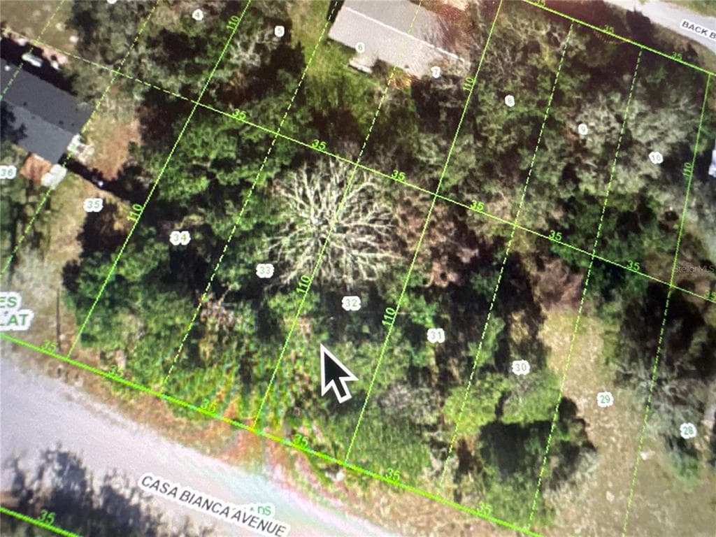 CASA BIANCA AVENUE NEW PORT RICHEY, FL 34654