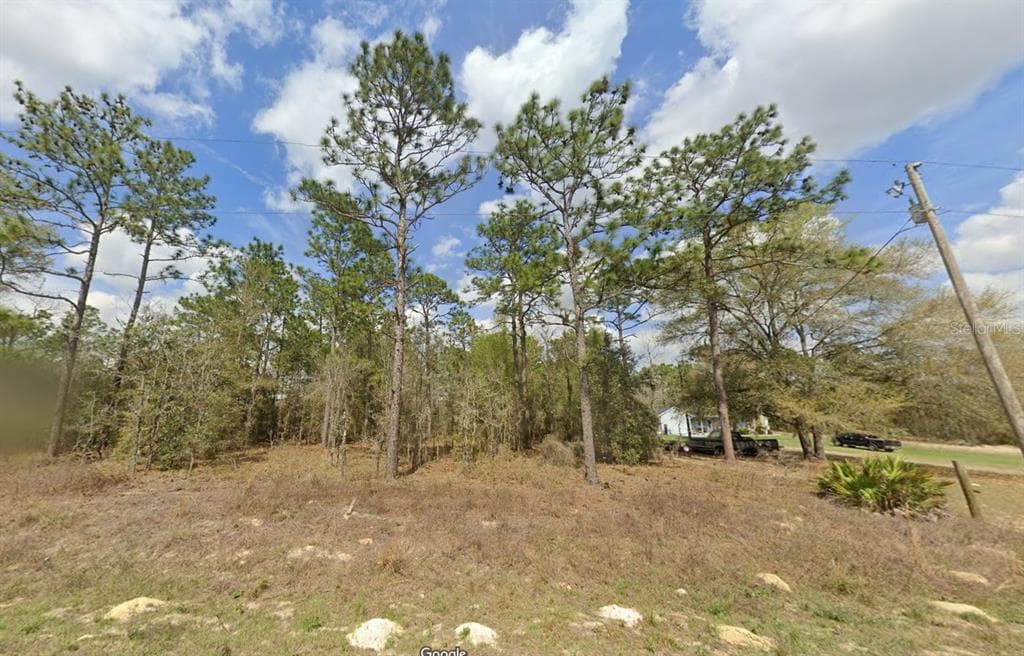 SW 94TH LANE DUNNELLON, FL 34432