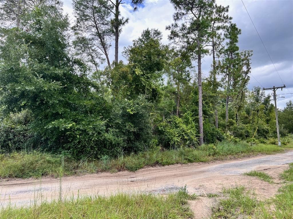 Lot 66 1ST STREET ALTOONA, FL 32702