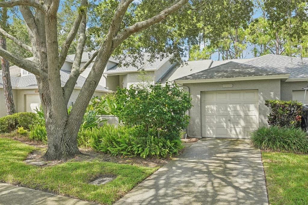 126 STEEPLECHASE LANE PALM HARBOR, FL 34684