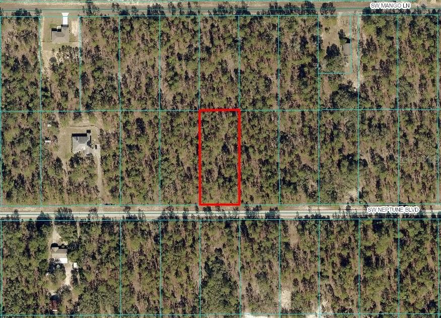 SW NEPTUNE BOULEVARD DUNNELLON, FL 34431