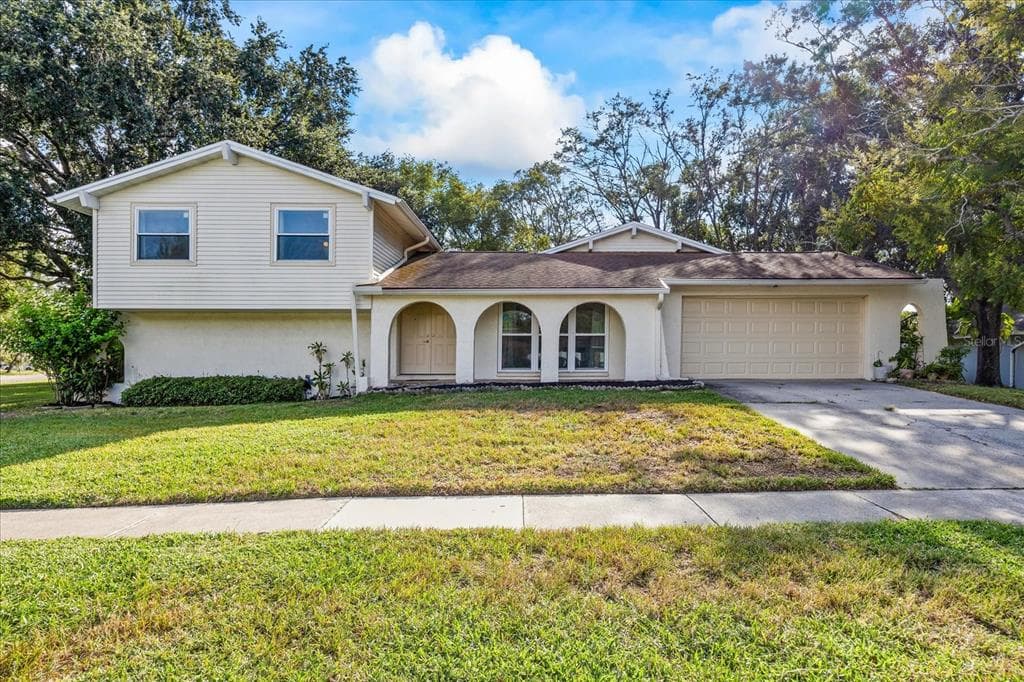 1115 FOGGY RIDGE PARKWAY LUTZ, FL 33559