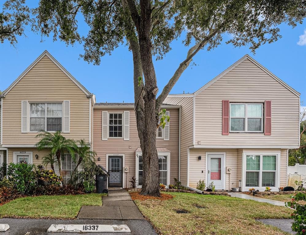 16337 RAMBLING VINE DRIVE W TAMPA, FL 33624