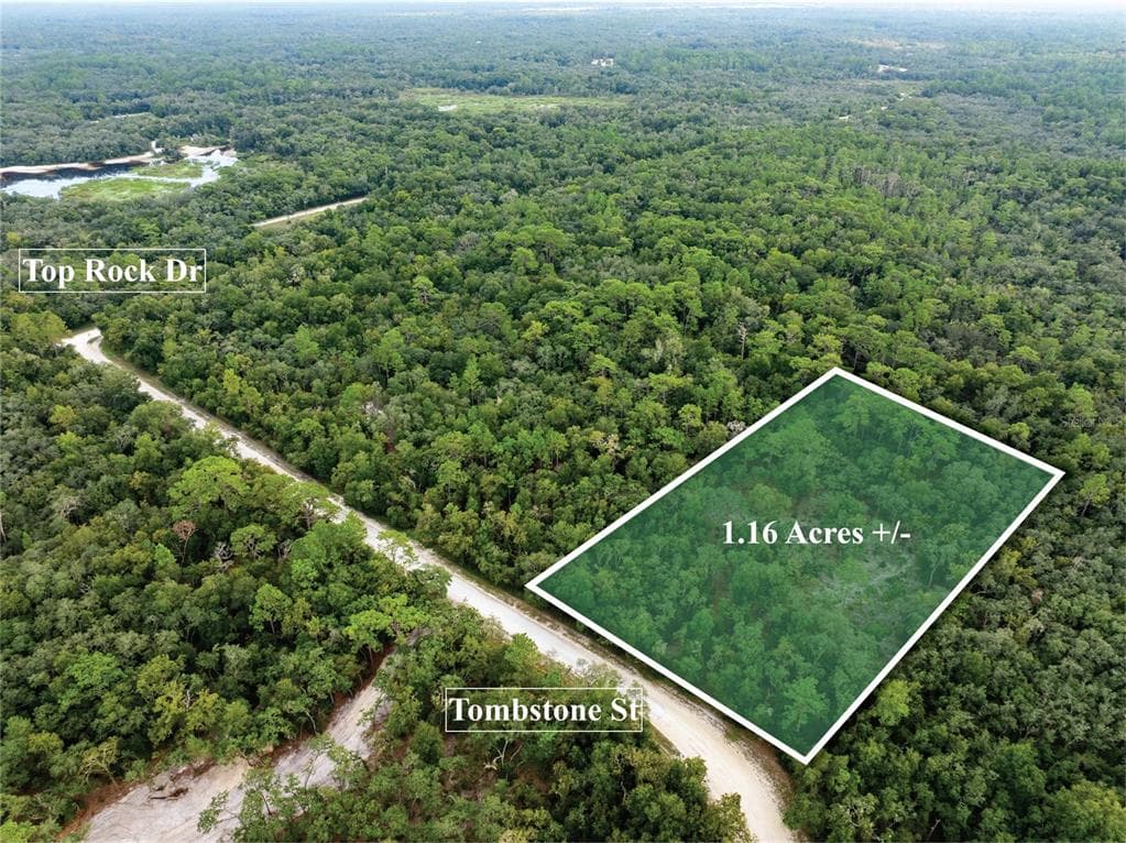 33410 TOMBSTONE STREET WEBSTER, FL 33597