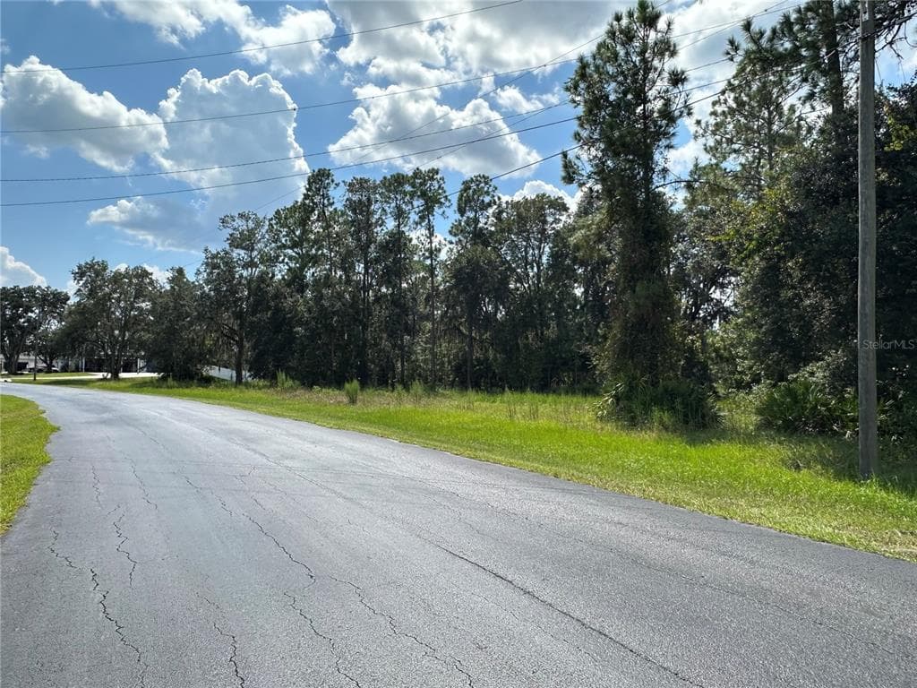 8319 SPRING FOREST LANE WESLEY CHAPEL, FL 33544