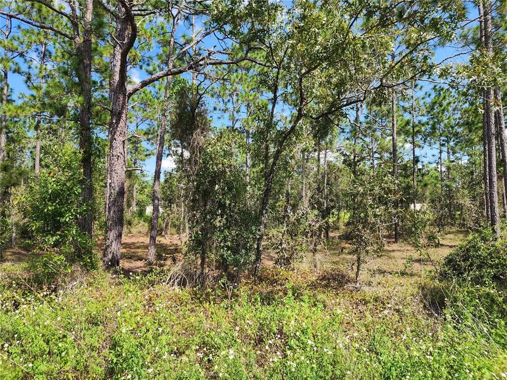TBD SW RIDGEWOOD ROAD DUNNELLON, FL 34431