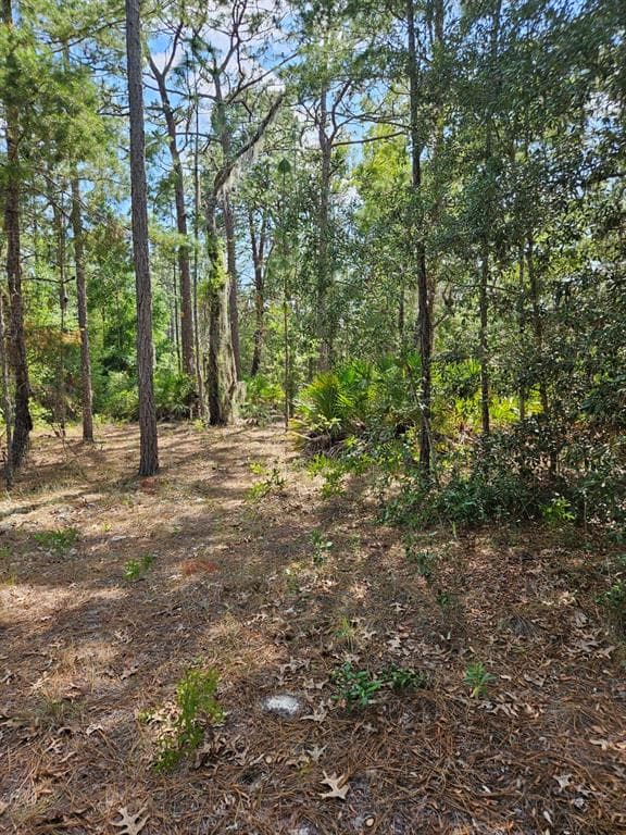 8364 W JENNIFER COURT CRYSTAL RIVER, FL 34428