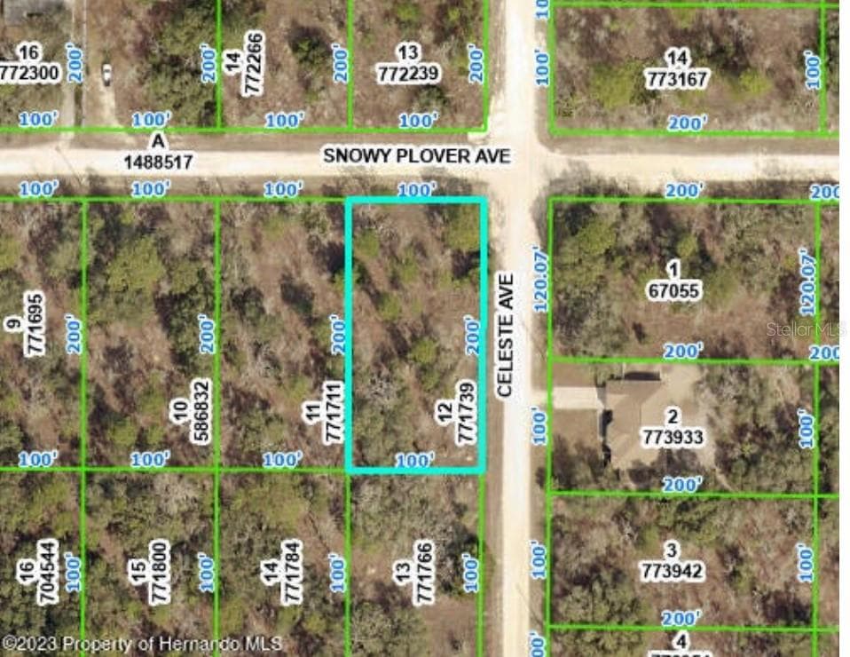 13290 SNOWY PLOVER AVENUE WEEKI WACHEE, FL 34614