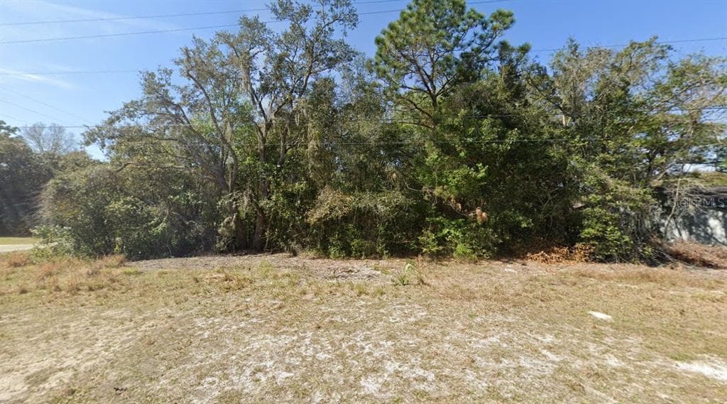1017 CARNEGIE DRIVE INVERNESS, FL 34450
