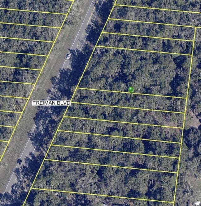 7284 TREIMAN BOULEVARD WEBSTER, FL 33597