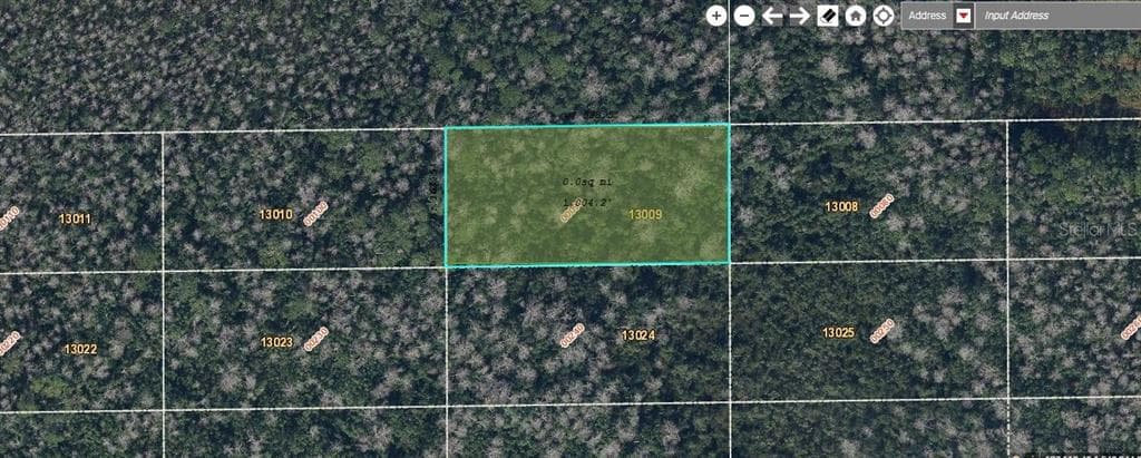 DILL ROAD ORLANDO, FL 32820