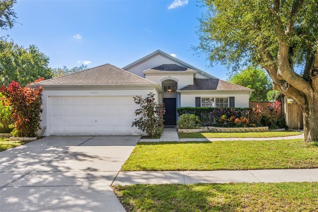 26848 ROSEANN PLACE LUTZ, FL 33559
