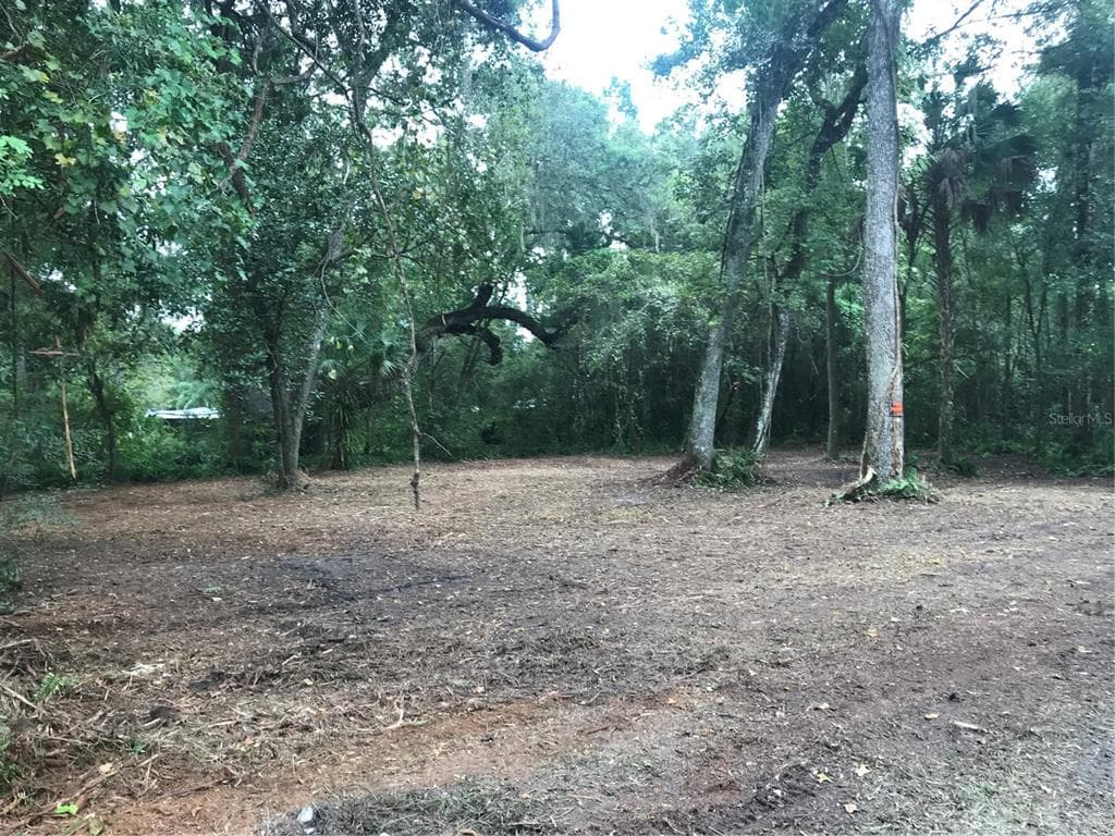 SW 35TH DRIVE WEBSTER, FL 33597