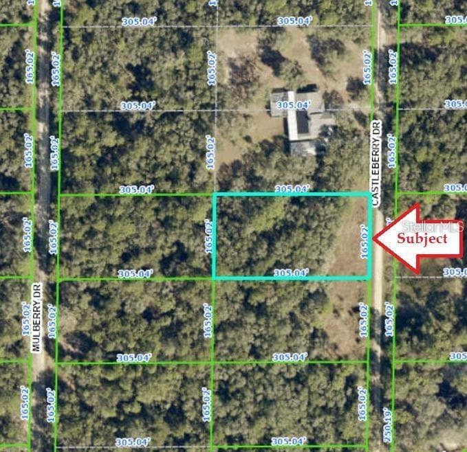 7343 CASTLEBERRY DRIVE WEBSTER, FL 33597