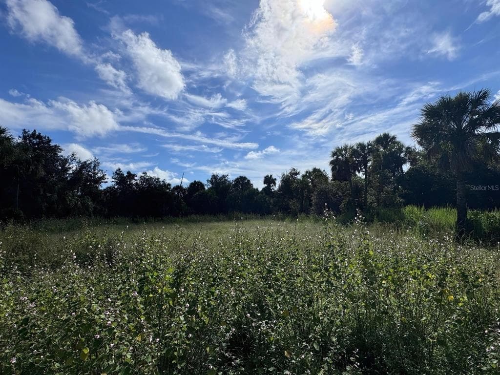 330 OVERBROOK STREET PORT CHARLOTTE, FL 33954