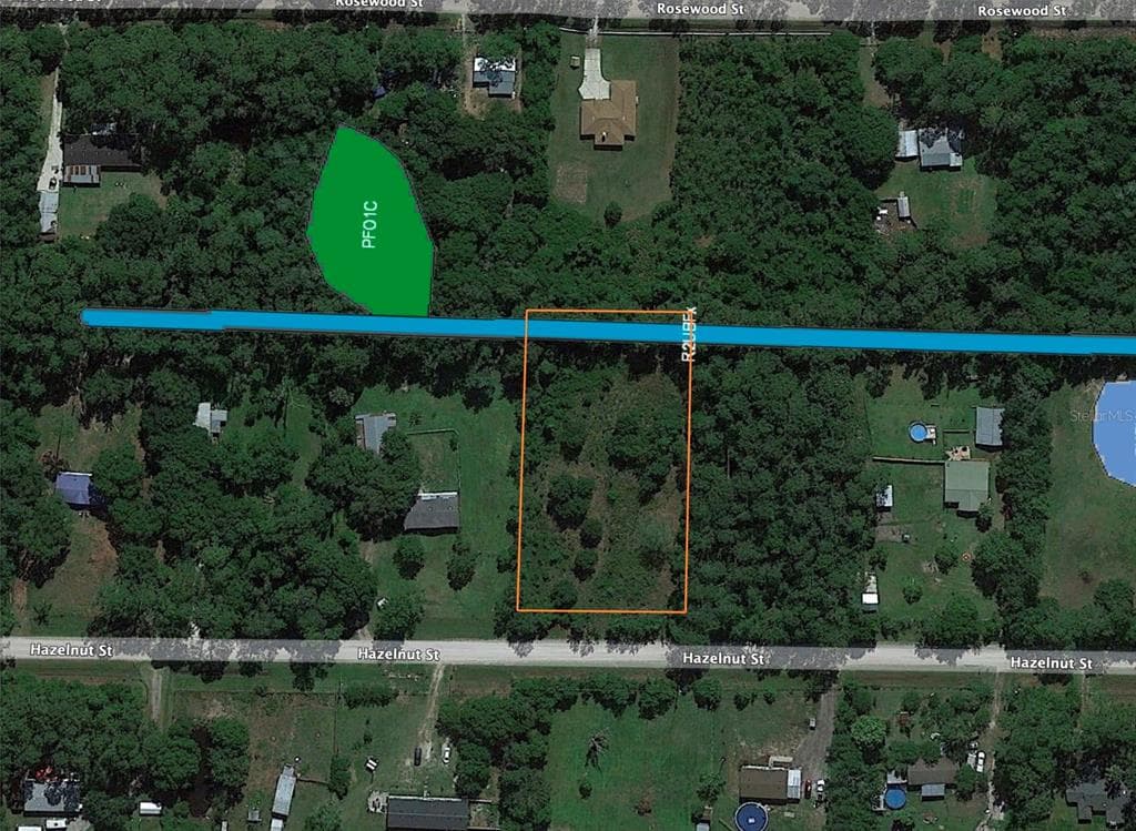 1225 HAZELNUT STREET BUNNELL, FL 32110