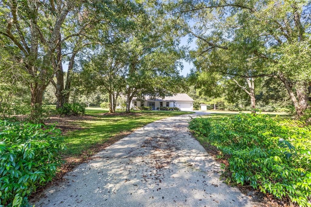 6551 BOGIE COURT WESLEY CHAPEL, FL 33544