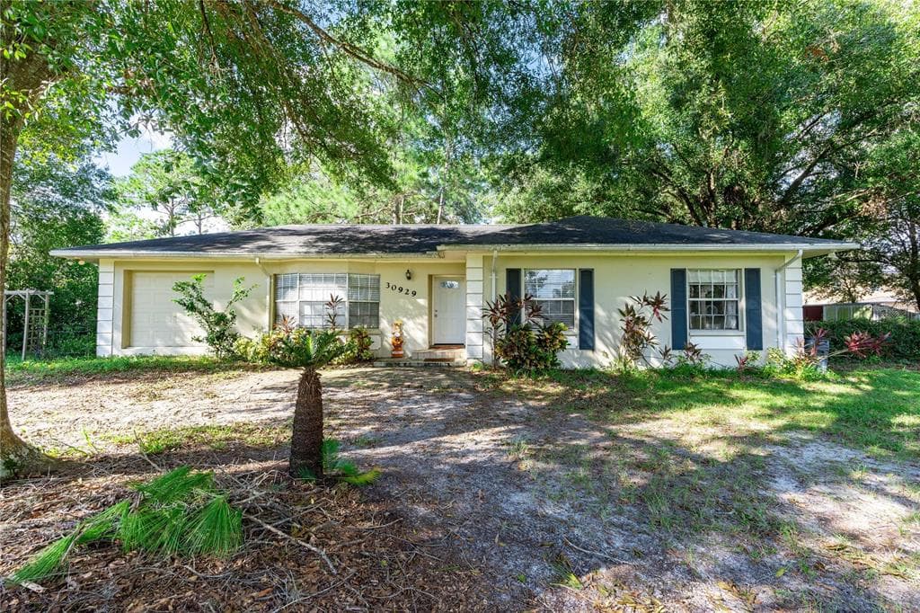 30929 ELOIAN DRIVE WESLEY CHAPEL, FL 33545