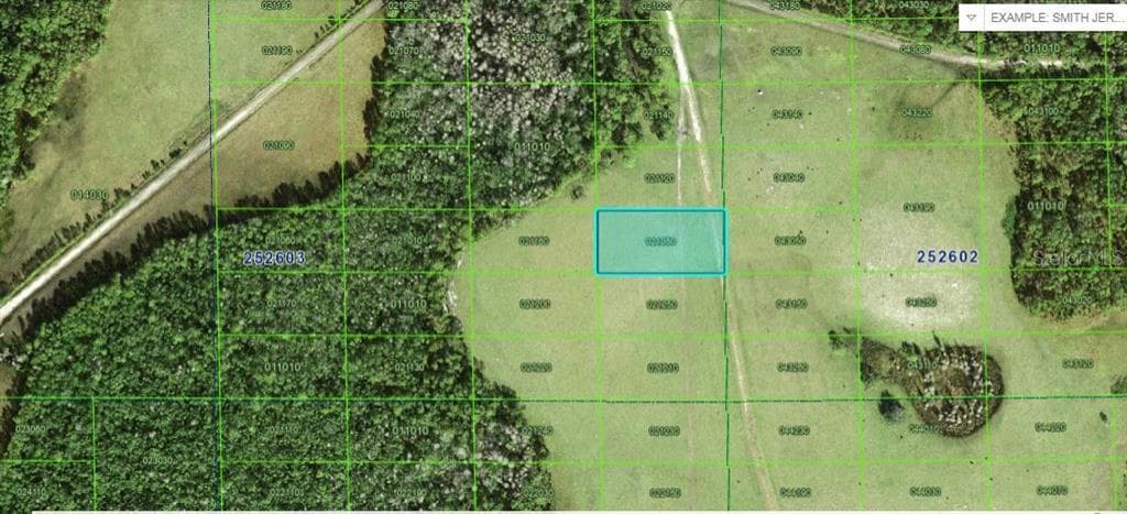 DEEN STILL ROAD POLK CITY, FL 33868