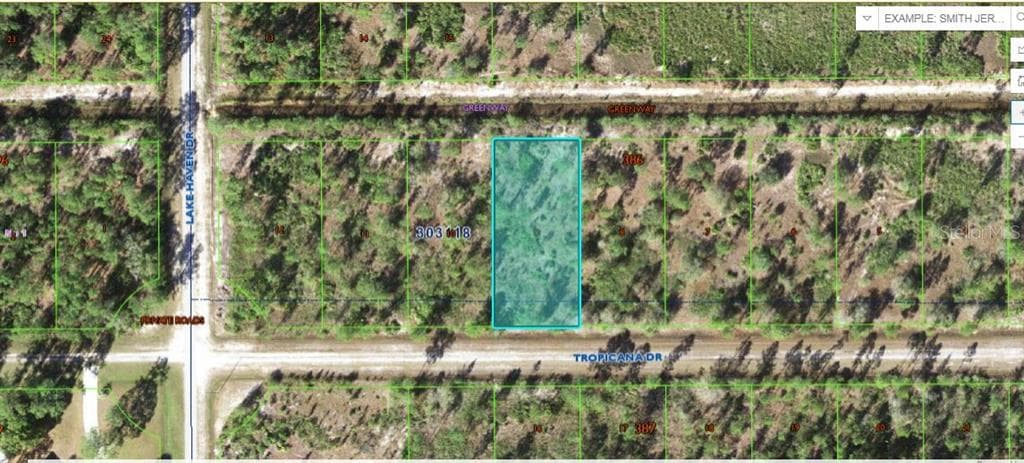 518 TROPICANA DRIVE INDIAN LAKE ESTATES, FL 33855