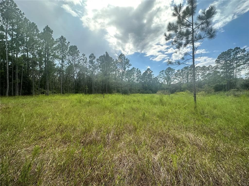 CLEFT ROCK STREET WEBSTER, FL 33597
