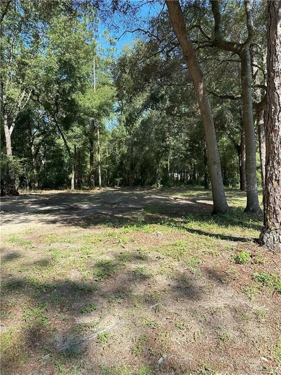 1947 W ALBURY PLACE CITRUS SPRINGS, FL 34434