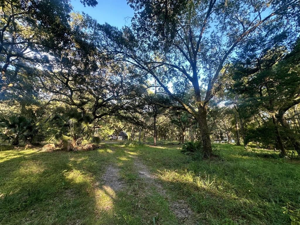 9805 SE 182ND AVENUE ROAD OCKLAWAHA, FL 32179