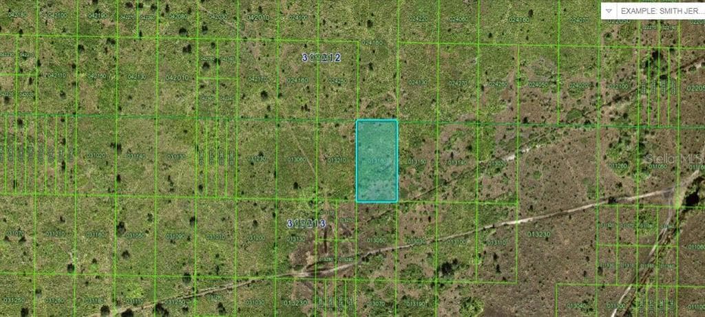 RIVER RANCH BOULEVARD LAKE WALES, FL 33898