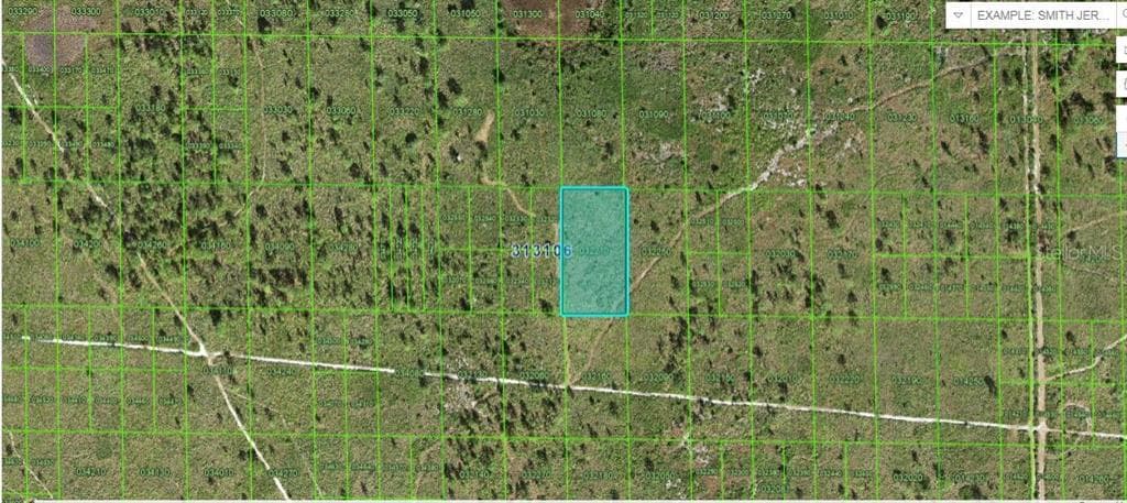 N/A LAKE WALES, FL 33898