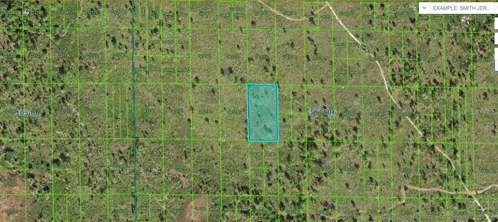 N/A LAKE WALES, FL 33898