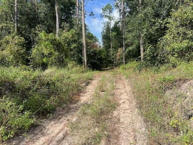 38851 SUMNER LAKE ROAD DADE CITY, FL 33525