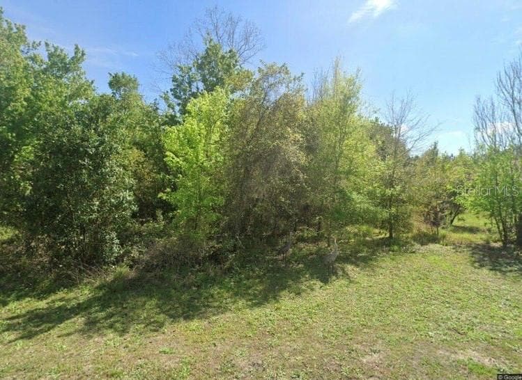 28802 HIBISCUS AVENUE PAISLEY, FL 32767
