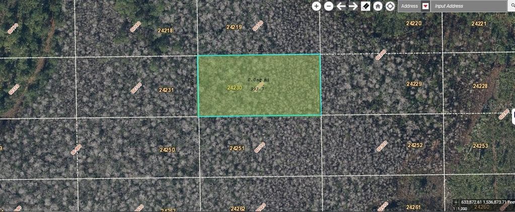 DILL ROAD ORLANDO, FL 32820