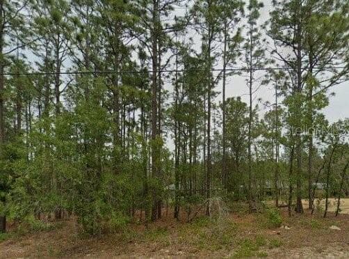 1531 W GAINSBORO LANE CITRUS SPRINGS, FL 34434