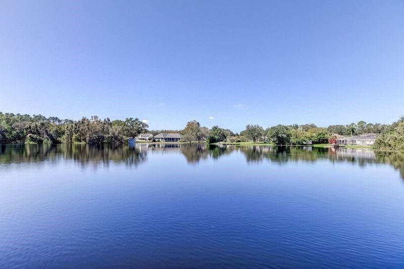 921 NEWBERGER ROAD LUTZ, FL 33549