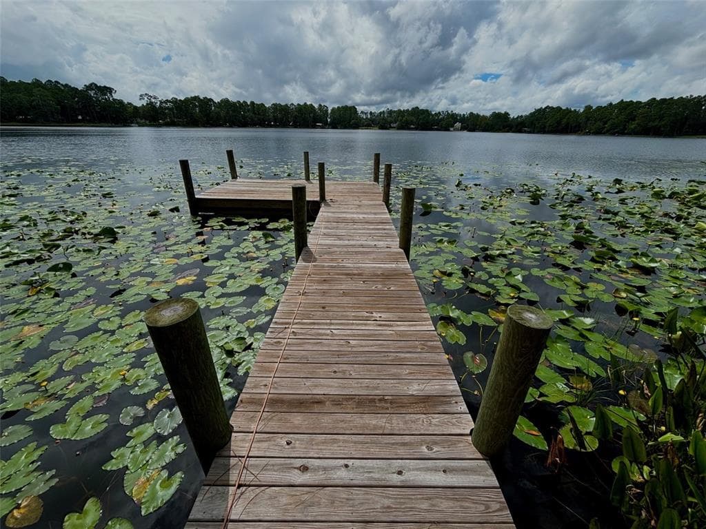313 RILEY LAKE DRIVE HAWTHORNE, FL 32640