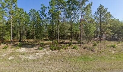 10157 W DONEGAL LANE CRYSTAL RIVER, FL 34428