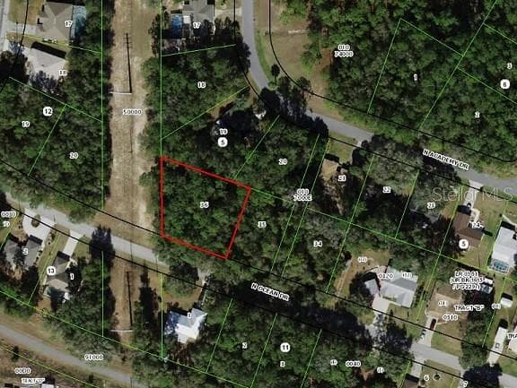 10115 N OCEAN DRIVE CITRUS SPRINGS, FL 34434