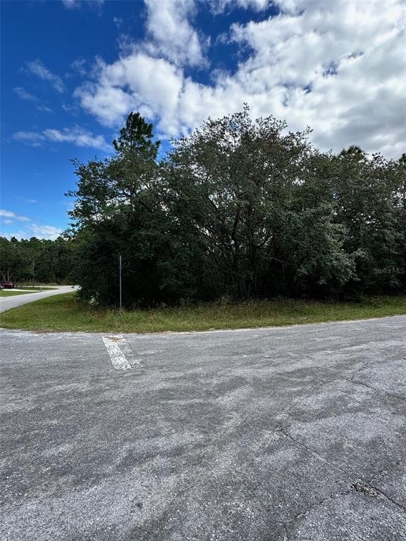 7199 N REGENT TERRACE CITRUS SPRINGS, FL 34433