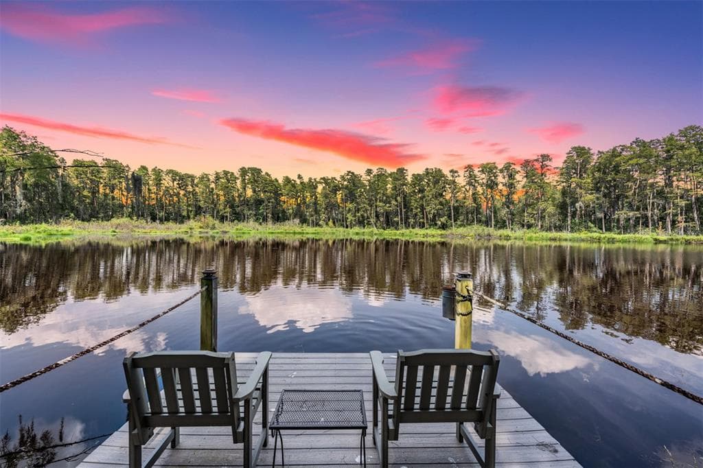 17529 MARSH ROAD LUTZ, FL 33558