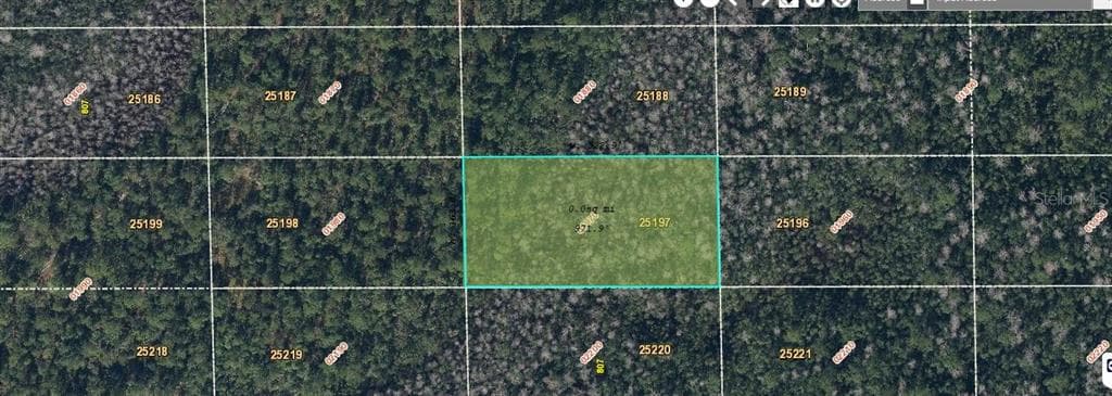 DILL ROAD ORLANDO, FL 32820