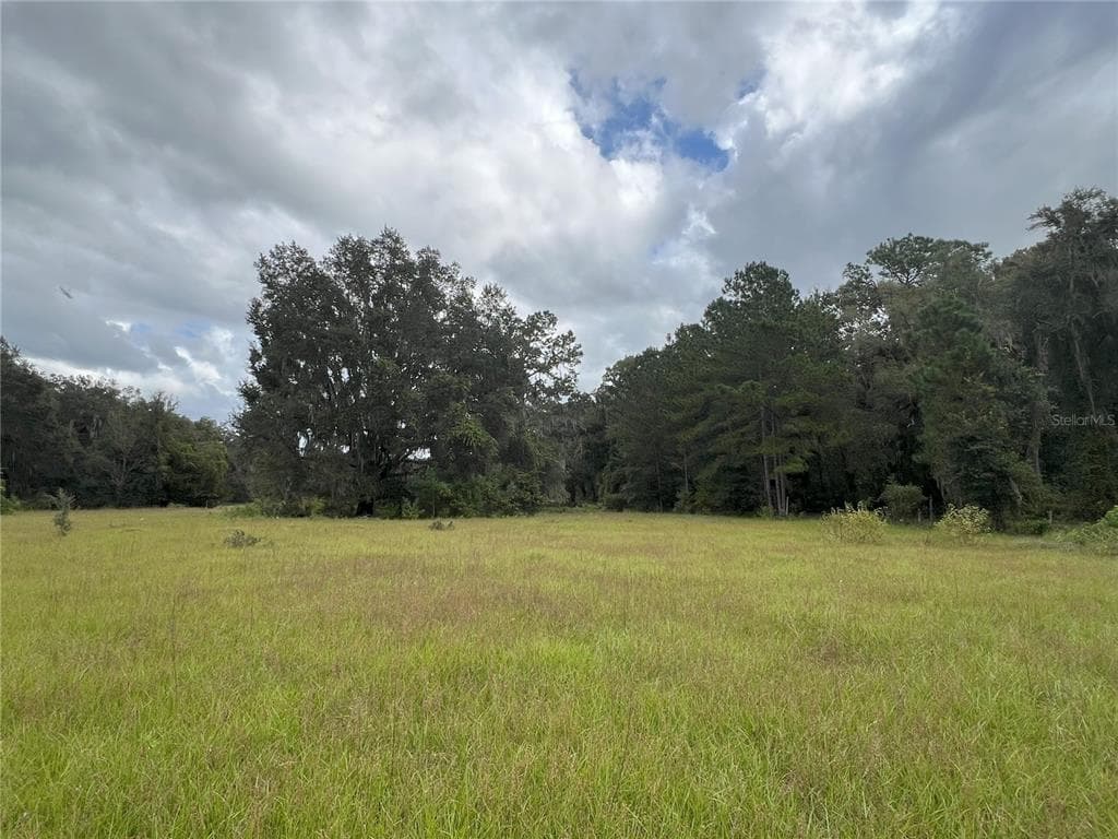 W HWY 318 CITRA, FL 32113